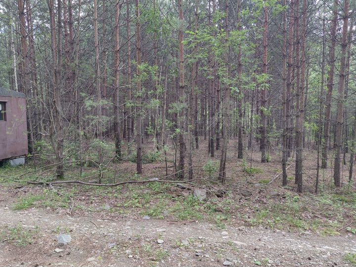 Участок 7,8 сот. (СНТ, ДНП)