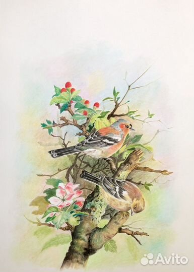 Картины: графика «Птицы в саду» А3