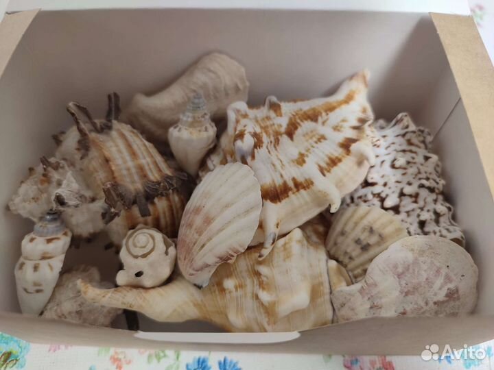 Декоративные украшение. Интерьер