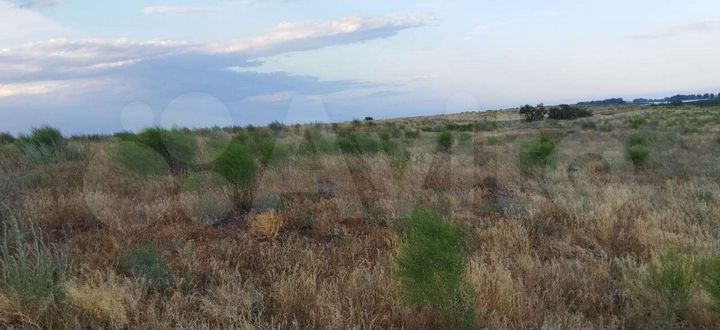 Участок 15 га (СНТ, ДНП)