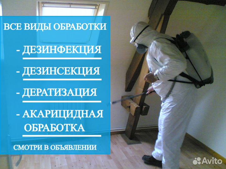 Уничтожение тараканов клопов грызунов Дезинфекция