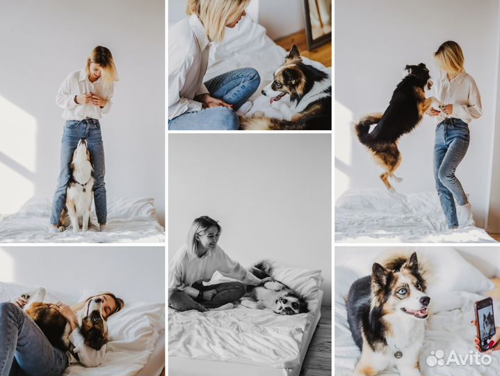 Фотограф / Фотограф анималист