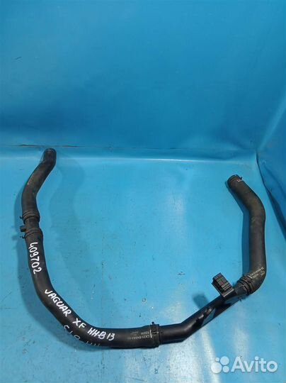 Патрубок радиатора Jaguar XF, X250 (2008-2015)
