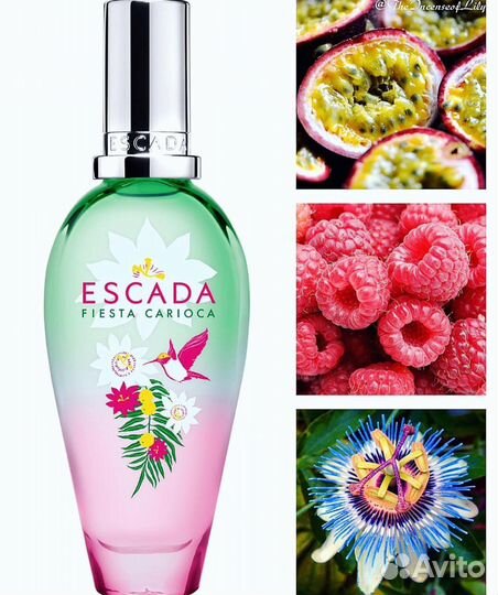 Escada Fiesta Carioca