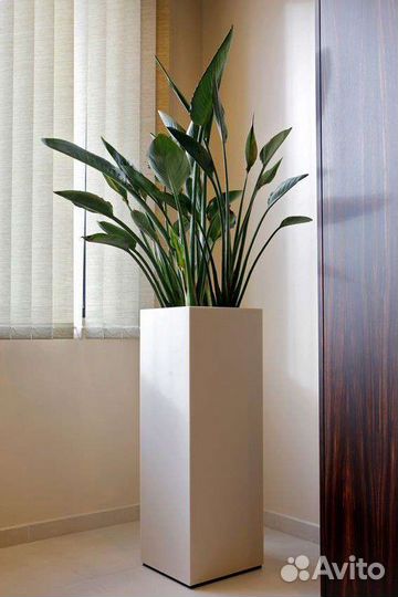 Вазоны для цветов из искусственного камня