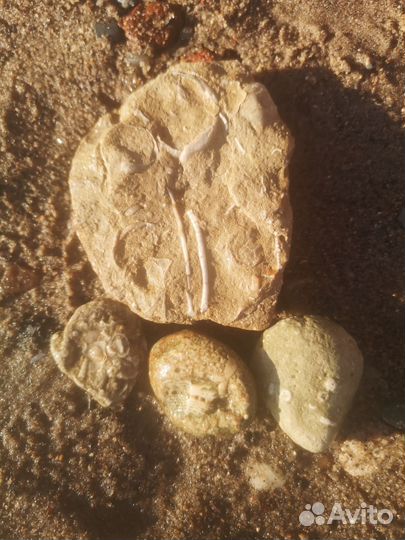 Необычный камень на удачу