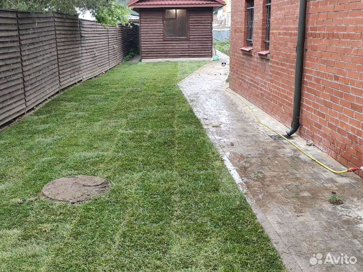 Отличный газон под ключ