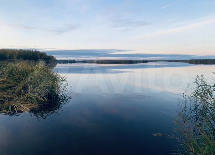 Участок 10 сот. (СНТ, ДНП)