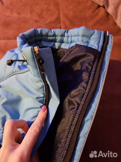 Одежда для собак мелких пород зима