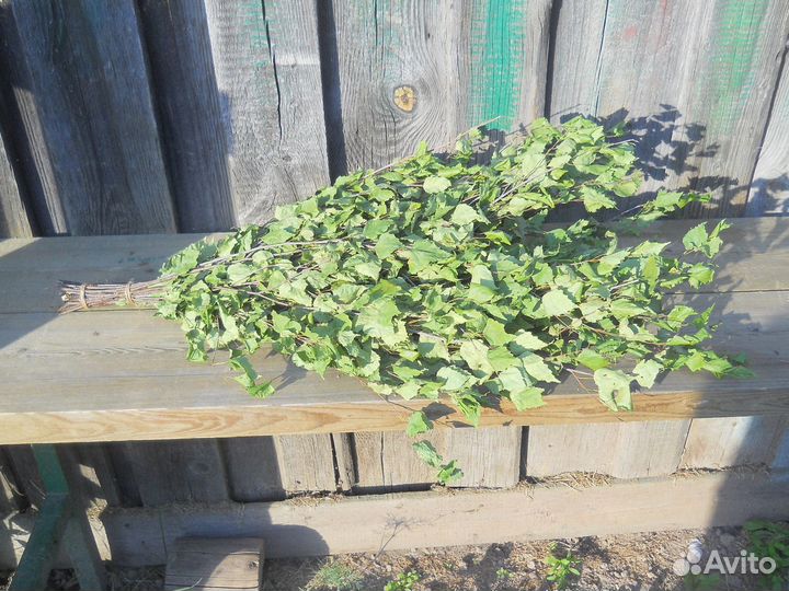 Веники березовые и дубовые для бани