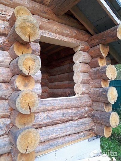 Обсада Окосячка Мастер