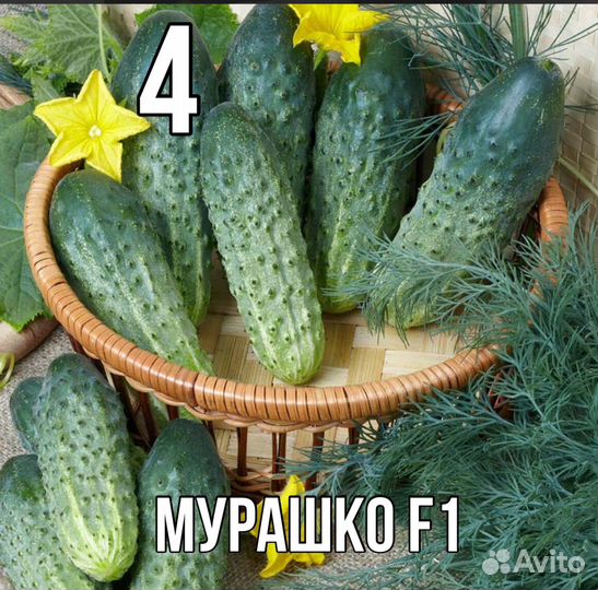 Рассада огурцов F1, самоопыляемые 6 сортов