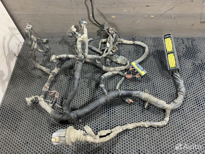 Проводка двигателя Chevrolet Aveo T250 1.2 Авео