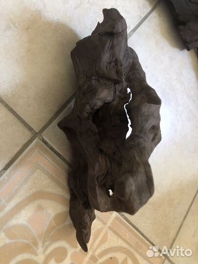 Коряги «мангра«