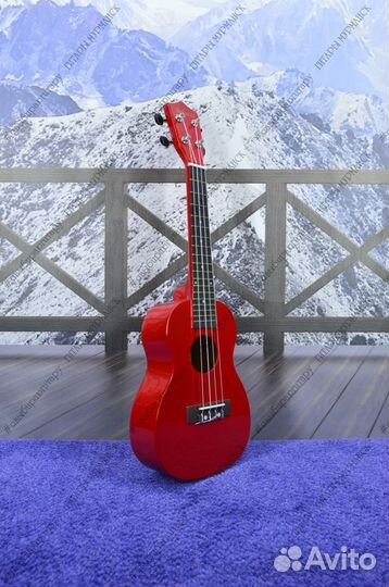 Укулеле - концерт (новая), комплект