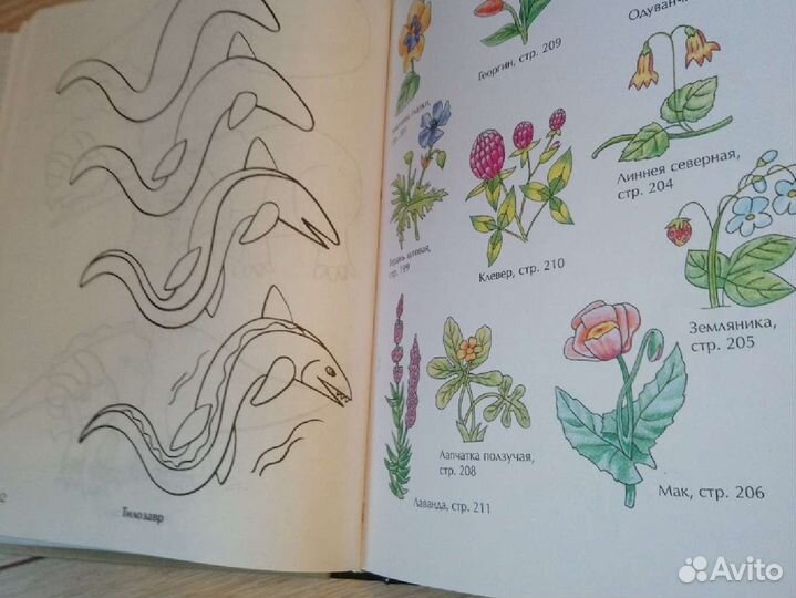 Книга для обучения рисованию