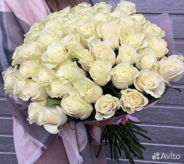 Розы Высокие 150см 160см 170см 180см 190см 2м