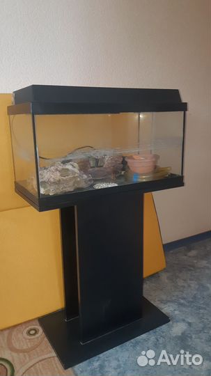 Аквариум с тумбой Juwel 60