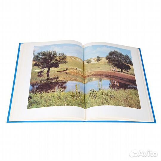 На вешенской земле. О родном крае Михаила Александ