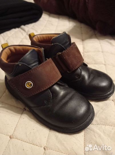 Ботинки + Кроссовки 25 ecco