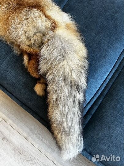 Мех лисы