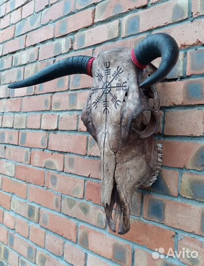 Череп быка с резьбой, состаренный