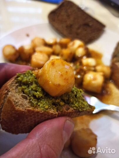 Морской гребешок