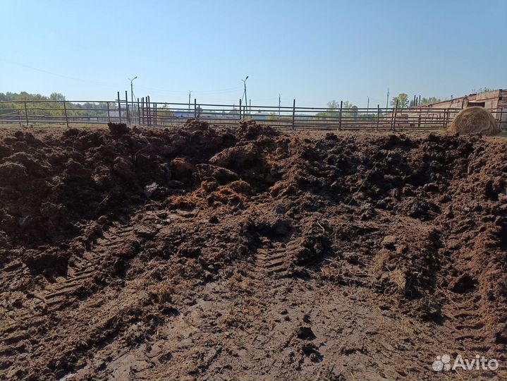 Перегной, навоз