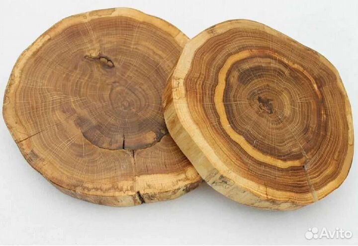 Торцевые спилы разных порд деревьев