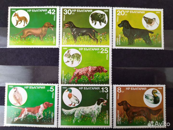 Почтовые марки Времён СССР Фауна Охотничьи собаки