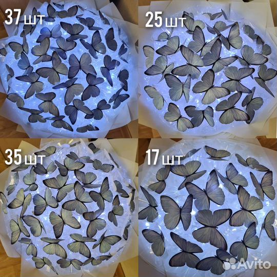 Букеты из бабочек