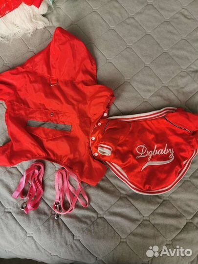 Вещи для собак мелких пород пакетом