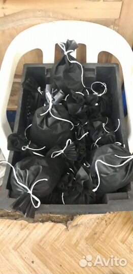 Черви дендробена. От производителя