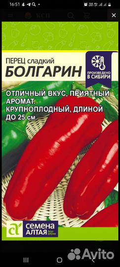 Перец болгарский рассада