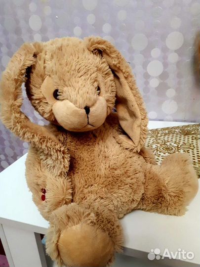 Необычный Кролик говорит сказки