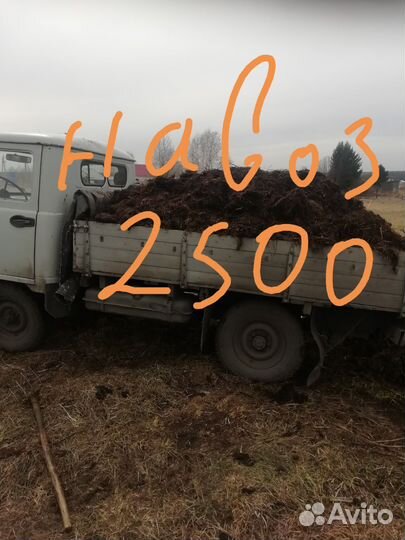 Навоз перегной