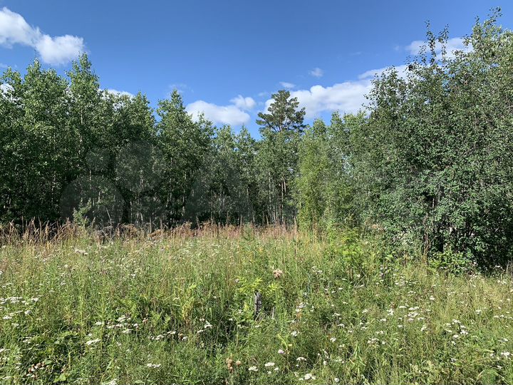 Участок 20 сот. (СНТ, ДНП)