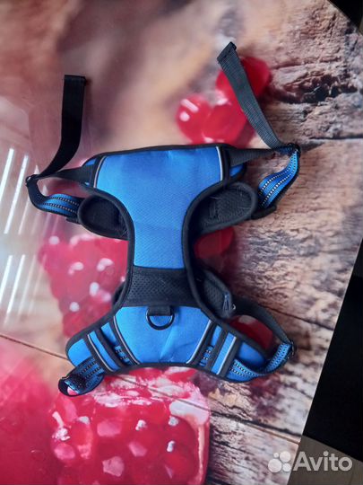 Шлейка для крупных и средних собак