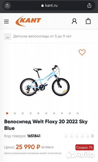 Велосипед Welt 20