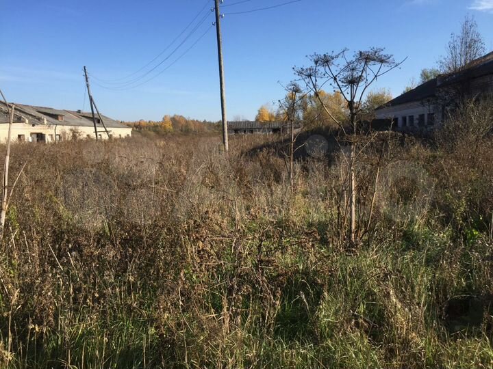 Участок 62,5 сот. (ИЖС)