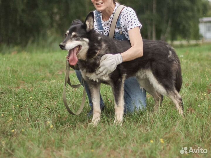 Меня зовут Джоник