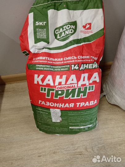 Газонная трава