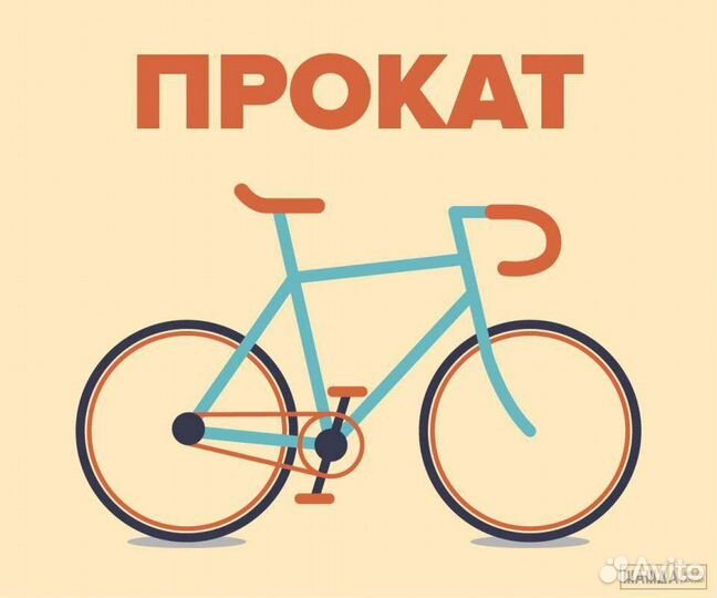 Аренда велосипеда