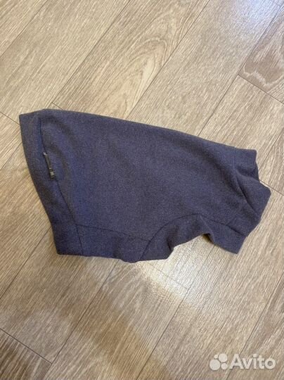 Одежда для животных