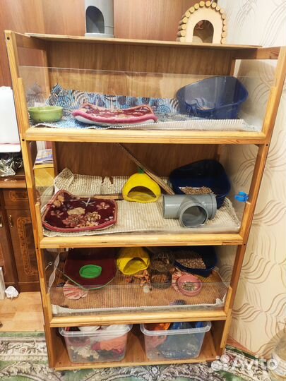 Стеллаж для морских свинок