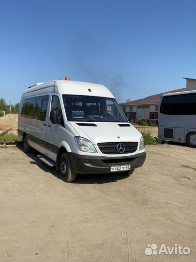 Водитель микроавтобуса