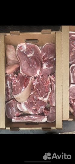 Мясо свинина для домашней кухни