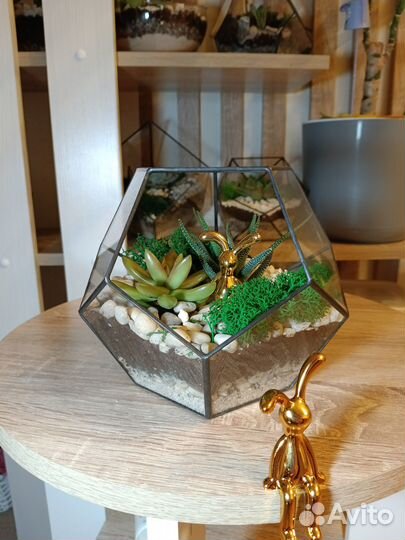 Флорариум 