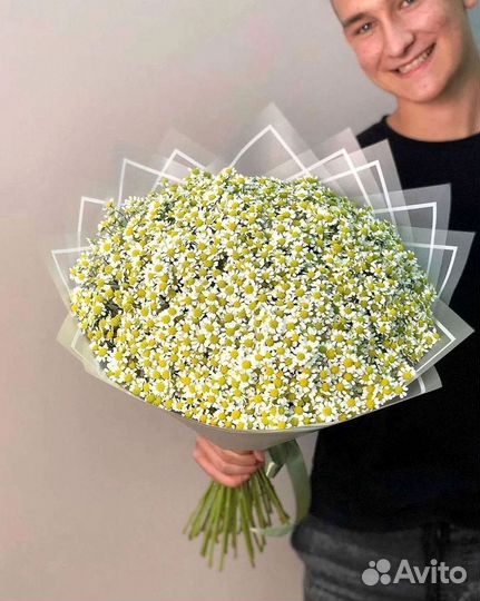 Букеты ромашек