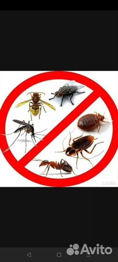 Средство от тараканов, клопов, муравьёв